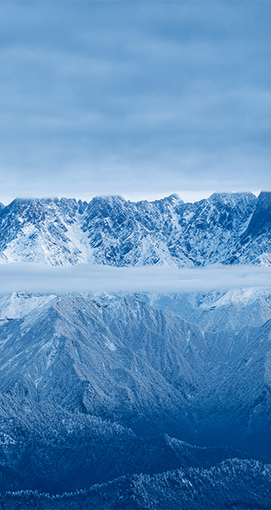 關(guān)于ng大舞臺