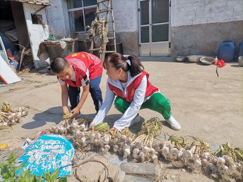 東營市新時(shí)代文明實(shí)踐志愿服務(wù)網(wǎng) 數(shù)字化平臺(tái)賦能志愿服務(wù)新篇章