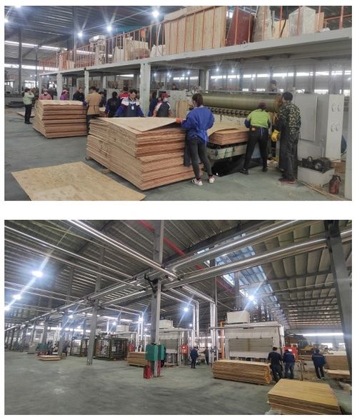 開年開好局，大王椰家具板渠道發(fā)力氣勢(shì)如虹，網(wǎng)絡(luò)服務(wù)賦能新增長