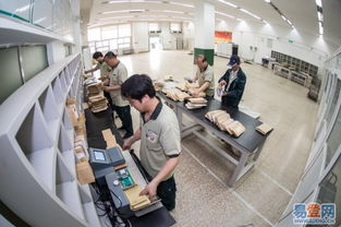 順風(fēng)投遞 閔行地區(qū)的優(yōu)質(zhì)網(wǎng)絡(luò)服務(wù)品牌